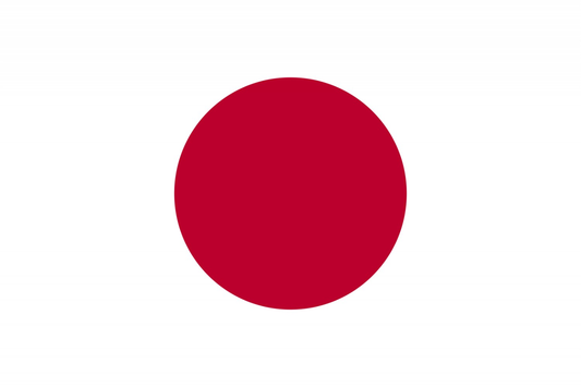Japan Flag fridge, souvenier magnet travel keepsake vibrant colors, size: small