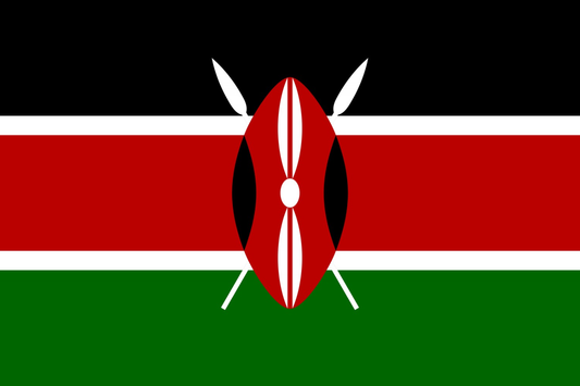 Kenya Flag fridge, souvenier magnet travel keepsake vibrant colors, size: small