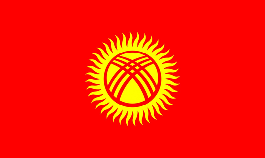 Kyrgyzstan Flag fridge, souvenier magnet travel keepsake vibrant colors, size: small