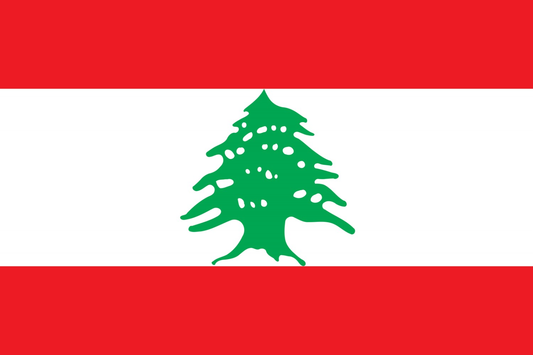 Lebanon Flag fridge, souvenier magnet travel keepsake vibrant colors, size: small