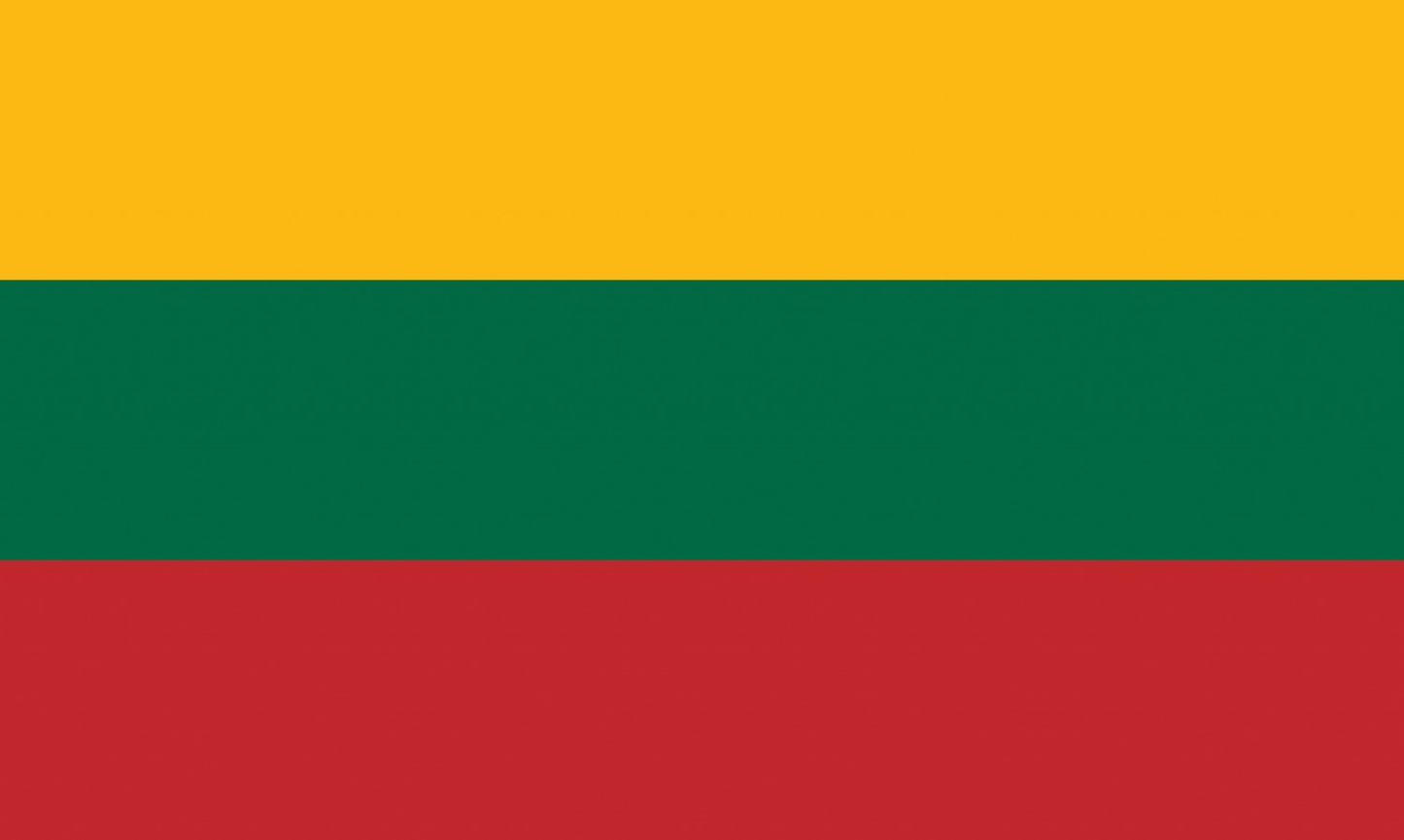 Lithuania Flag fridge, souvenier magnet travel keepsake vibrant colors, size: small