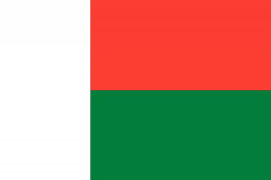 Madagascar Flag fridge, souvenier magnet travel keepsake vibrant colors, size: small