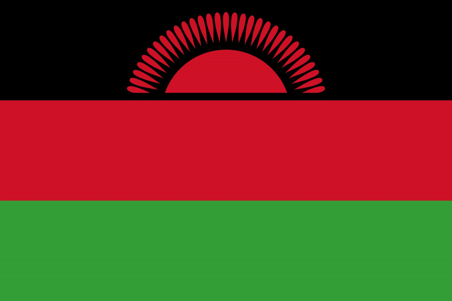 Malawi Flag fridge, souvenier magnet travel keepsake vibrant colors, size: small