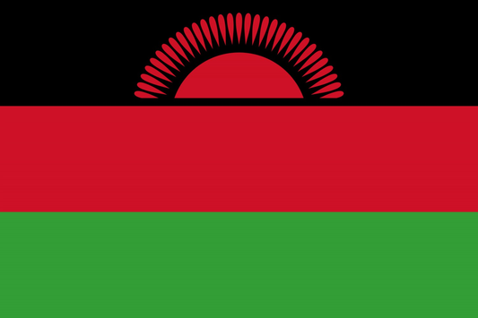 Malawi Flag fridge, souvenier magnet travel keepsake vibrant colors, size: small