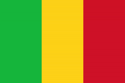 Mali Flag fridge, souvenier magnet travel keepsake vibrant colors, size: small