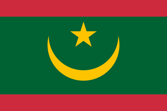 Mauritania Flag fridge, souvenier magnet travel keepsake vibrant colors, size: small