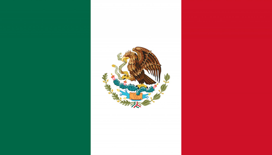 Mexico Flag fridge, souvenier magnet travel keepsake vibrant colors, size: small