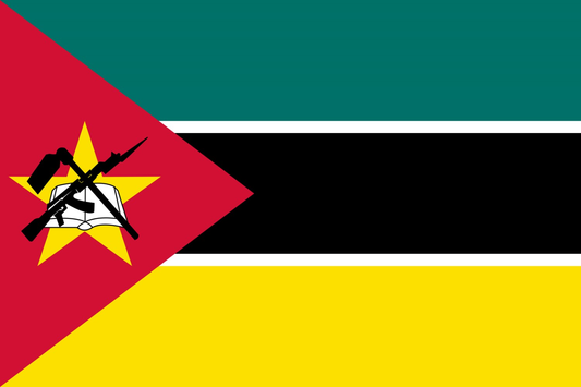 Mozambique Flag fridge, souvenier magnet travel keepsake vibrant colors, size: small