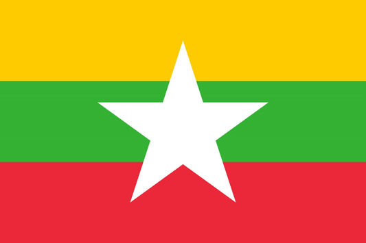 Myanmar Flag fridge, souvenier magnet travel keepsake vibrant colors, size: small