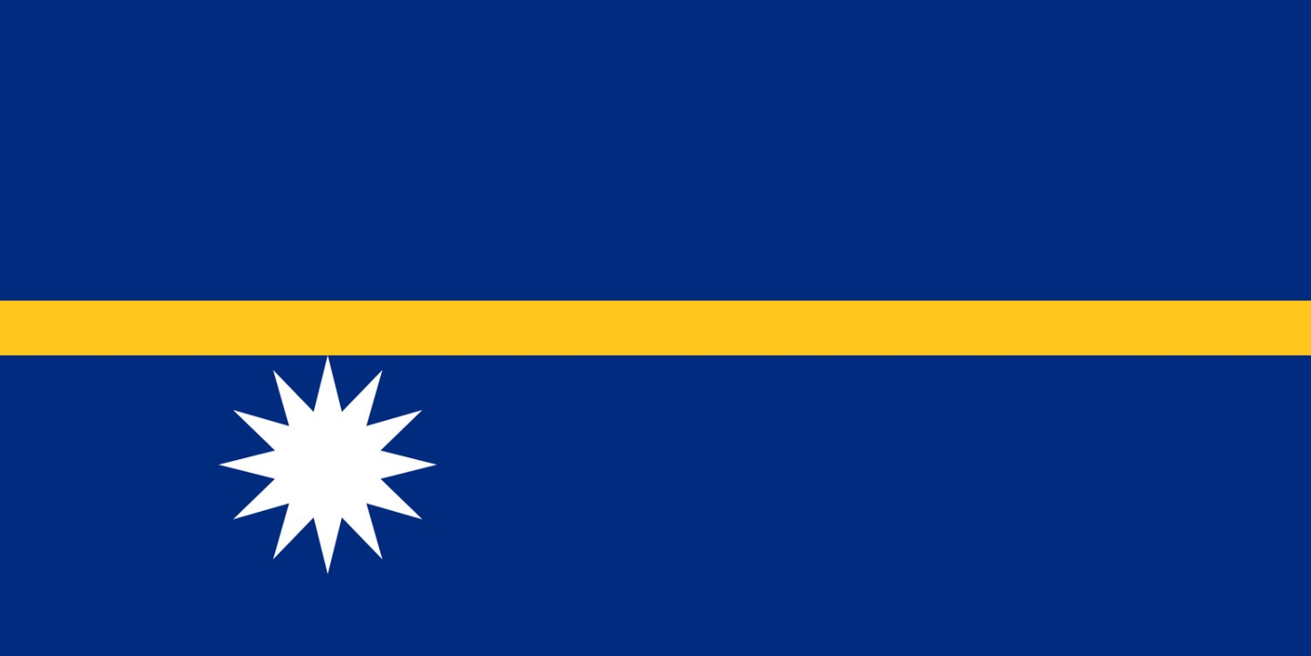 Nauru Flag fridge, souvenier magnet travel keepsake vibrant colors, size: small
