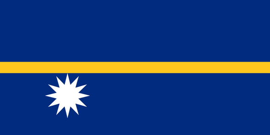 Nauru Flag fridge, souvenier magnet travel keepsake vibrant colors, size: small