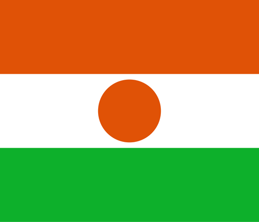 Niger Flag fridge, souvenier magnet travel keepsake vibrant colors, size: small