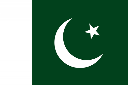 Pakistan Flag fridge, souvenier magnet travel keepsake vibrant colors, size: small