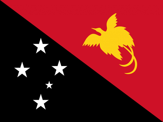 Papua New Guinea Flag fridge, souvenier magnet travel keepsake vibrant colors, size: small