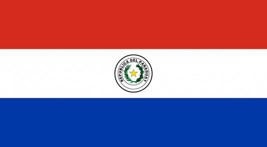 Paraguay Flag fridge, souvenier magnet travel keepsake vibrant colors, size: small