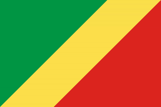 Republic of the Congo Flag fridge, souvenier magnet travel keepsake vibrant colors, size: small