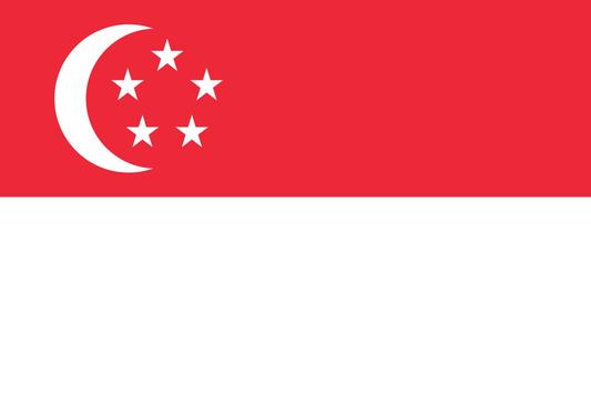 Singapore Flag fridge, souvenier magnet travel keepsake vibrant colors, size: small