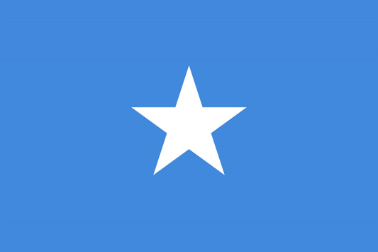 Somalia Flag fridge, souvenier magnet travel keepsake vibrant colors, size: small