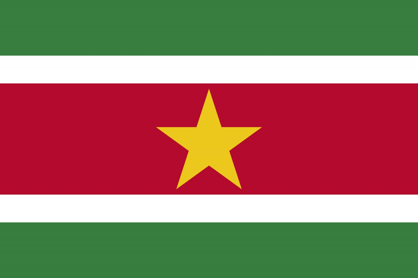 Suriname Flag fridge, souvenier magnet travel keepsake vibrant colors, size: small Magnet Size: 1.8x1.0 cm