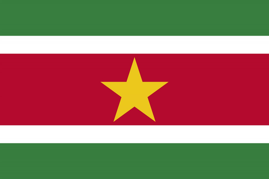 Suriname Flag fridge, souvenier magnet travel keepsake vibrant colors, size: small Magnet Size: 1.8x1.0 cm