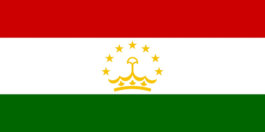 Tajikistan Flag fridge, souvenier magnet travel keepsake vibrant colors, size: small