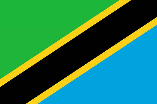 Tanzania Flag fridge, souvenier magnet travel keepsake vibrant colors, size: small