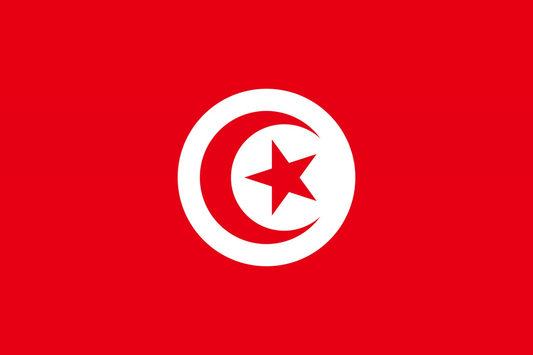Tunisia Flag fridge, souvenier magnet travel keepsake vibrant colors, size: small