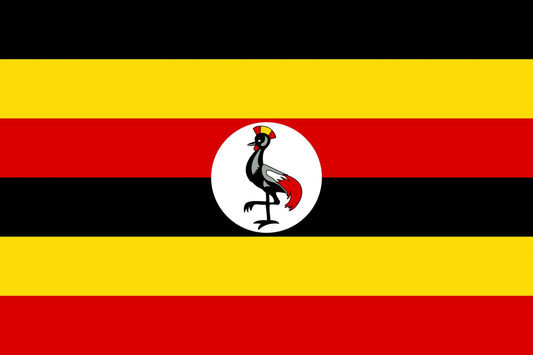 Uganda Flag fridge, souvenier magnet travel keepsake vibrant colors, size: small