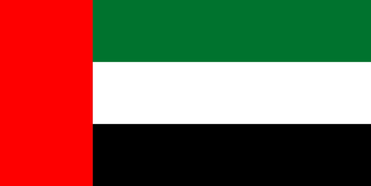 United Arab Emirates Flag fridge, souvenier magnet travel keepsake vibrant colors, size: small