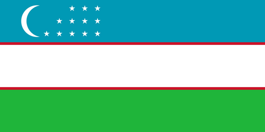 Uzbekistan Flag fridge, souvenier magnet travel keepsake vibrant colors, size: small