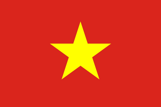 Vietnam Flag fridge, souvenier magnet travel keepsake vibrant colors, size: small