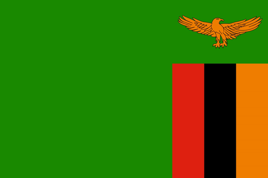 Zambia Flag fridge, souvenier magnet travel keepsake vibrant colors choose size: small, medium
