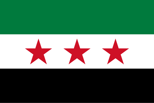 Syria Flag fridge, souvenier magnet travel keepsake vibrant colors, size: small